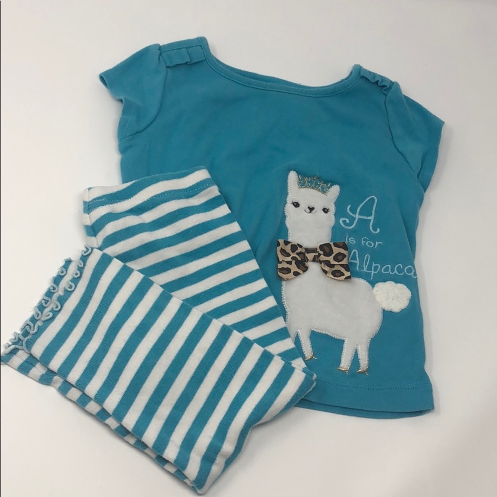 Gymboree Alpaca Outfit